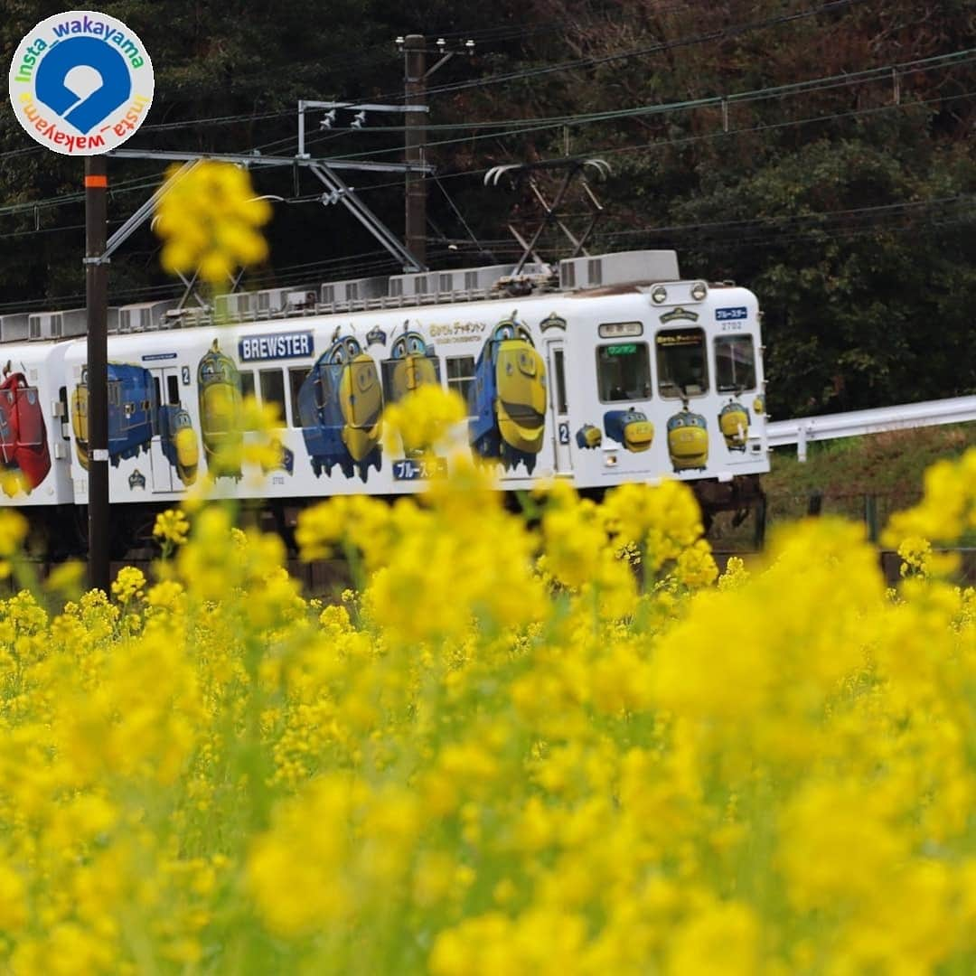 和歌山県さんのインスタグラム写真 - (和歌山県Instagram)「* 本日は、和歌山県観光連盟とのコラボイベント「 #グッドトリップ和歌山 」のインスタグラム投稿キャンペーンの受賞作品をご紹介します☆ . 3月の月間優秀賞は、@kazz1109 さん、 @yo_hey_k さん、@satomina_kinako さん、@rin_cyoku_jyu さん、@atsuka1027 さんです！  みなさまからのたくさんのご応募ありがとうございました(^o^)/発表は特設サイトに掲載されておりますので、素敵なお写真をぜひご覧ください。プロフィールにあるURLからアクセスできます😊😊 . 「 #グッドトリップ和歌山 」キャンペーンは好評につき、今年度も本日より実施します❗️ みなさまの素敵なお写真のご応募お待ちしております❗️😆 ○応募期間 2020年3月20日(金)まで. ○応募条件 （１)「 @insta_wakayama 」をフォロー. （２）「 #グッドトリップ和歌山 」をつける. （３）撮影スポットを記載. 規約など、詳細は特設サイトをご確認くださいね。 . 和歌山に関する投稿に「 #insta_wakayama 」のハッシュタグをつけてください ★ . @insta_wakayama では、#グッドトリップ和歌山 投稿キャンペーンを開催中！和歌山県の素敵なお写真を投稿していただいた方々の中から、毎月5名様に1万円をプレゼントします！ 詳しくは @insta_wakayama のプロフィールにあるURLをチェックしてください。 . 和歌山の魅力を皆さんで発信していきましょう！ ハッシュタグをつけると同時に、写真の場所の記載・位置情報の登録もお願いします。 #insta_wakayama #wakayama #wakayamagram #和歌山県 #グッドトリップ和歌山  #2月優秀賞 #和歌山県観光連盟 #インスタグラム投稿キャンペーン  #観光 #観光和歌山 #風景 #風景和歌山  #premier_wakayama #プレミア和歌山 #和みわかやまっぷ #nagomi_wakayama #visitwakayama #japan」4月4日 11時24分 - insta_wakayama