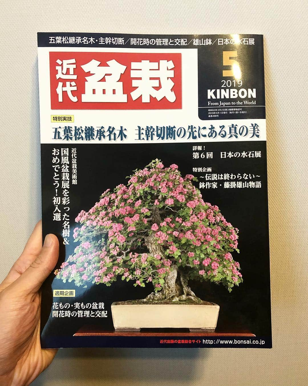 秋山真太郎さんのインスタグラム写真 - (秋山真太郎Instagram)「近代盆栽✨✨✨ 本日発売、５月号😊 徳尾社長と対談させて頂きました🌸 是非皆様ご覧下さい🍁 #近代盆栽#bonsai#bonsaiactor#盆栽#japaneseculture#bonsaimagazine」4月4日 11時16分 - shintaro_akiyama_official