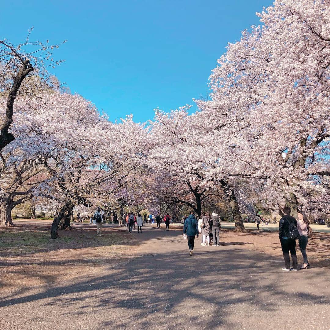 梶本成美のグルメインスタ