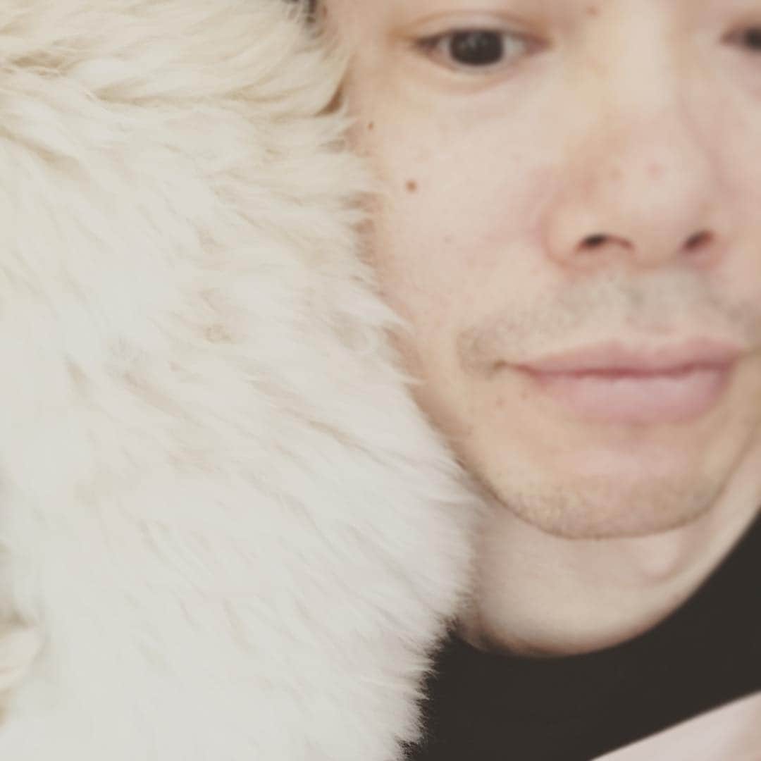 北山陽一のインスタグラム：「起きたら肩にずっしりなんかいた（おもち）」