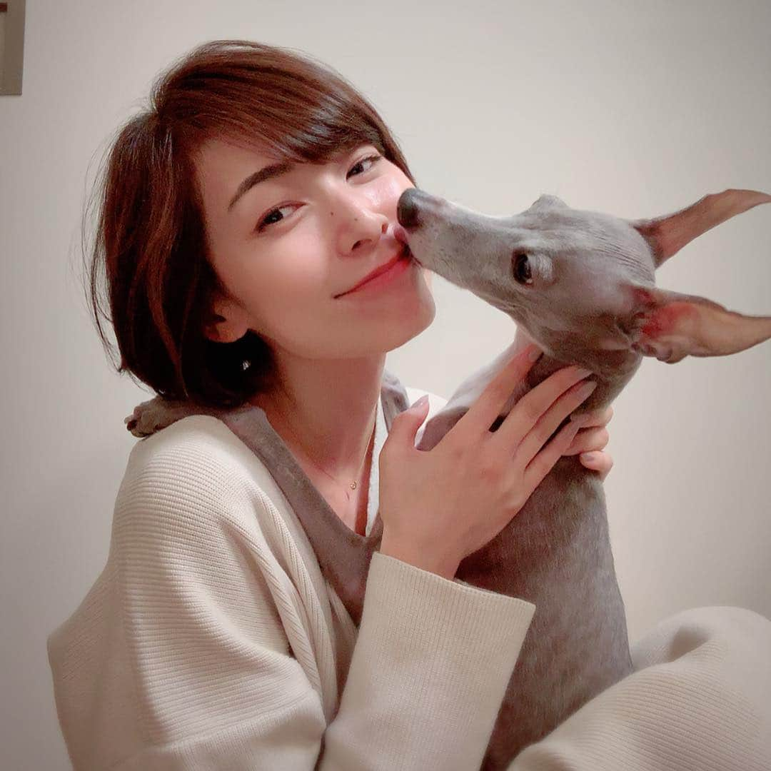 簑島宏美さんのインスタグラム写真 - (簑島宏美Instagram)「* ******** Mom changed her hair style. Hmm, I like it! * 伸ばしていた髪も暖かくなってきたのでバッサリ✂︎ @jir.nobujiro ありがとう！ ハウルも気に入ってくれたご様子…かな？😂❤️❤️ ******** #イタグレ#イタリアングレーハウンド#italiangreyhound#dogstagram#イタグレとの暮らし#iggy#iggygram #iggylove#iggylife#いぬのいる暮らし#犬のいる暮らし#いぬバカ部#イタグレ服#iggysoftheworld #iggygram #iggysofinstagram #dogsofig #dogsofinstagram #プチプラコーデ #犬好きな人と繋がりたい#オシャレさんと繋がりたい#ハンドメイド#犬服#犬服ハンドメイド#リンクコーデ#いぬのきもち#いぬのきもち部#everydog#エブリドッグ#everydoglover」4月4日 11時51分 - hiromiminoshima