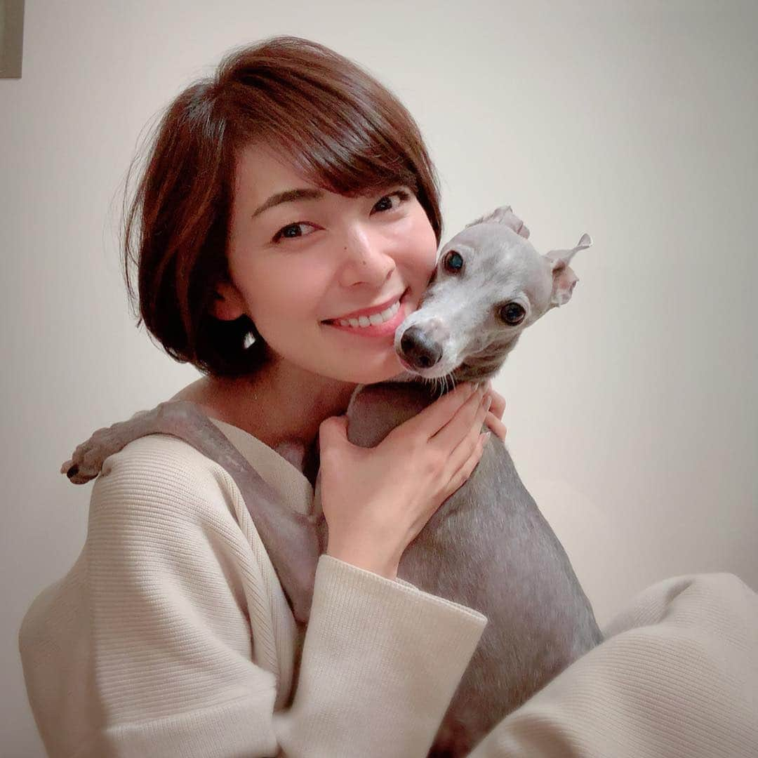 簑島宏美さんのインスタグラム写真 - (簑島宏美Instagram)「* ******** Mom changed her hair style. Hmm, I like it! * 伸ばしていた髪も暖かくなってきたのでバッサリ✂︎ @jir.nobujiro ありがとう！ ハウルも気に入ってくれたご様子…かな？😂❤️❤️ ******** #イタグレ#イタリアングレーハウンド#italiangreyhound#dogstagram#イタグレとの暮らし#iggy#iggygram #iggylove#iggylife#いぬのいる暮らし#犬のいる暮らし#いぬバカ部#イタグレ服#iggysoftheworld #iggygram #iggysofinstagram #dogsofig #dogsofinstagram #プチプラコーデ #犬好きな人と繋がりたい#オシャレさんと繋がりたい#ハンドメイド#犬服#犬服ハンドメイド#リンクコーデ#いぬのきもち#いぬのきもち部#everydog#エブリドッグ#everydoglover」4月4日 11時51分 - hiromiminoshima