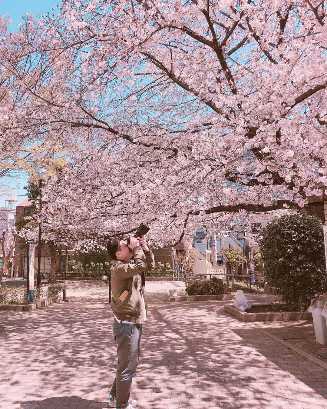 小坂温子さんのインスタグラム写真 - (小坂温子Instagram)「今日は昨日より暖かい☺️🥰🌞🌸 ここも桜が綺麗🌸😍✨🌸✨ #笹塚東公園  #笹塚 #良いお天気」4月4日 11時58分 - kosaka_atsuko