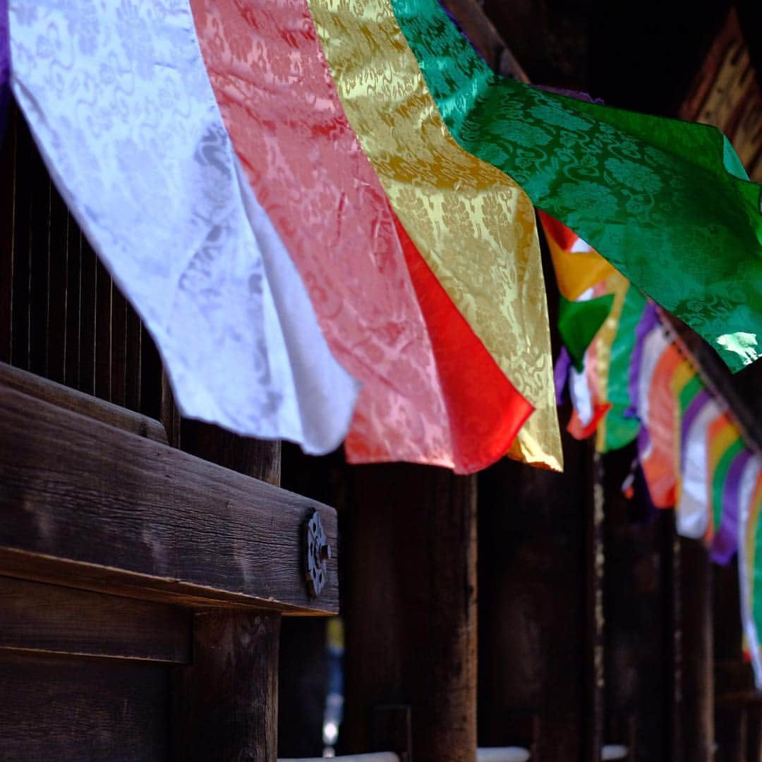 奈良 長谷寺 / nara hasederaさんのインスタグラム写真 - (奈良 長谷寺 / nara hasederaInstagram)「#長閑 な花盛り、しだれの桜が見頃、ソメイヨシノは五分咲き  It's time for flowers！  #長谷寺 #奈良長谷寺 #総本山長谷寺 #花の御寺 #奈良 #hasedera #hasederatemple #temple #japan #japanesetraditional #pilgrimage #nara #tourism #sightseeing #japanesetemple #西国 #西国三十三所 #霊場 #巡礼 #四寺巡礼 #やまとびとツアーズ #長谷寺が好き #うましうるわし奈良」4月4日 12時01分 - hase_dera