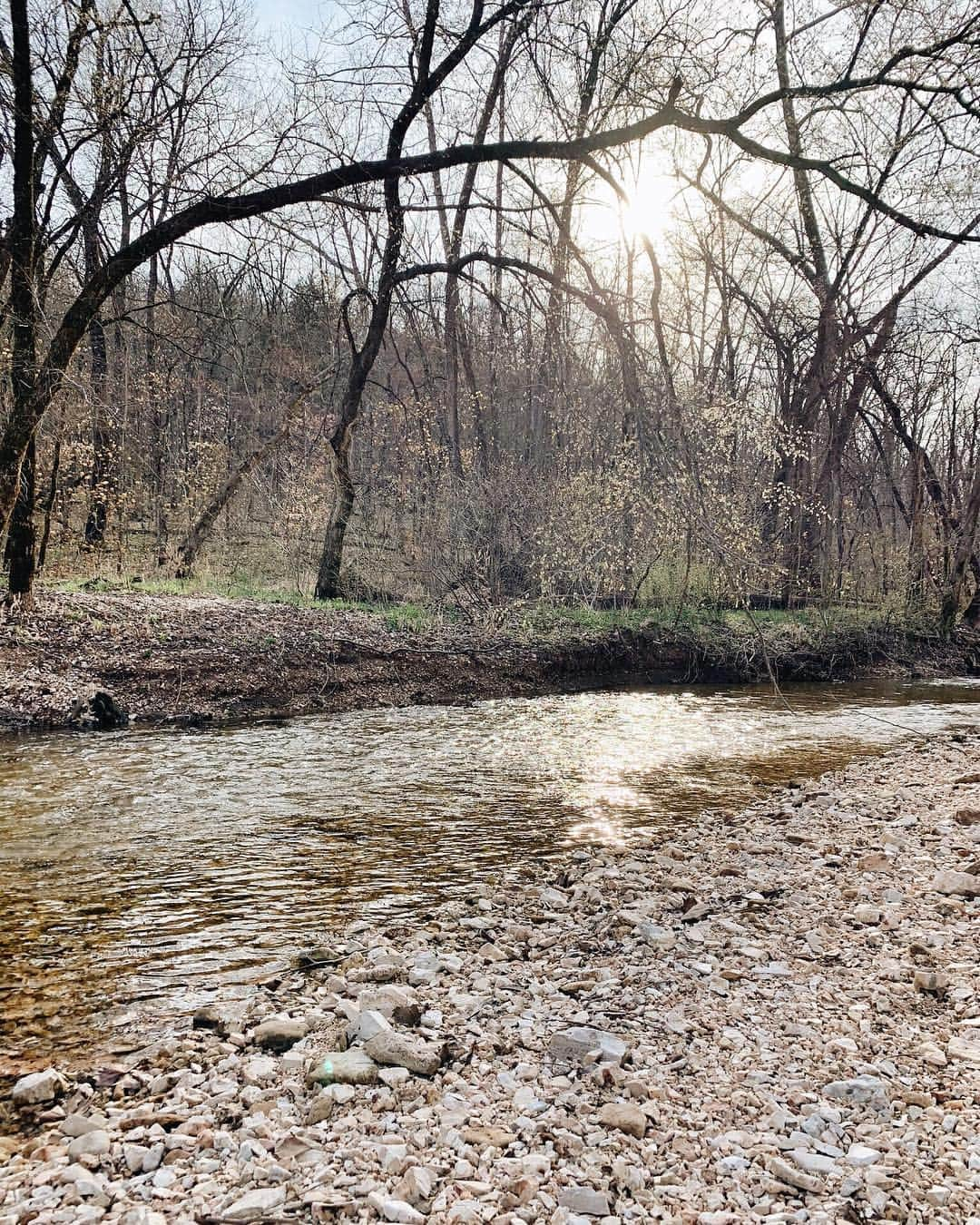 Catharine Mi-Sookさんのインスタグラム写真 - (Catharine Mi-SookInstagram)「Every time we adventure through our wild wild woods there’s something that I learn from nature. Today I saw our little guy grapple with fear in the prospect of a new challenge. We both knew that he could do it, but he had to discover that for himself. I saw my own self in him in that moment. A new challenge arises, a continual journey that never ceases as we live and grow, and just like in the eyes of a child, the longer we look at it, the bigger the fear becomes, when in reality it’s just a hop skip over a small creek. It seems easier to meander all over the woods to avoid it, but in order to get to the place we dream and wish to go, we’ll still have to learn to face that creek. We sometimes think we’ll get hurt or lose something or even ourselves in that small leap but then we can’t hope or have faith if we don’t try and more times than not, we don’t lose anything except our fear and we can only gain something greater instead. . . . My travel repertoire: Phone Case Wallet in Olive Leather @mujjostore. Model 45L fountain pen in Vintage Green @franklinchristoph. Large @the_superiorlabor Paint Shoulder Bag at @nomadostore. Spring Essentials Pouch @pegandawl. Mod 2 @thisisground. . . . #inthewoods #naturewalks #journaling #mujjo #leatherphonecase #travelgear #franklinchristoph #fountainpens #penmanship #midoripassport #tnlove #nomadostore #superiorlabor #thesuperiorlabor #whatsinmybag #thisisground #tigmod #journallove #stationerylover #loveforanalogue #dailyjournal #creativejournal #creativejournaling #トラベラーズノート #pegandawl #aquietplace #livemoremagic」4月4日 12時16分 - catharinemisook