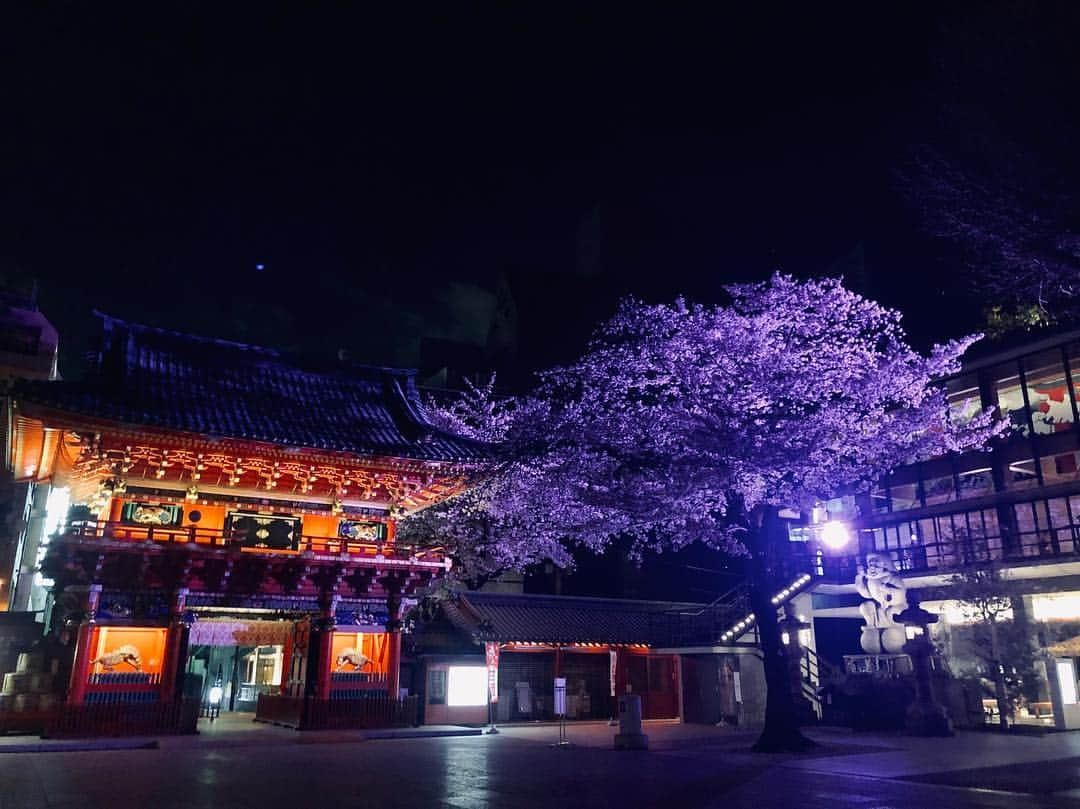 北村圭吾さんのインスタグラム写真 - (北村圭吾Instagram)「神田明神の朝の顔と夜の顔✨  昨日も御来場頂きまして誠にありがとうございました🙇🏻 4月に入り昨夜は初の海外の方が 御来場頂き、 日本語でのストーリーではありましたが、ストーリーをしっかりと理解して頂けた事が物凄く嬉しかったなぁ！  ボディランゲージは世界共通!!! USJ時代を思い出した。  素敵な一時でした。  さぁ、本日も気張りますか!!!!!! #神田明神#文化交流館#座show #チーム凱#北村圭吾#役者」4月4日 12時19分 - kitamura_keigo