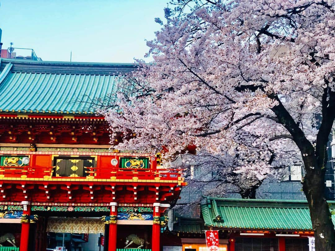 北村圭吾さんのインスタグラム写真 - (北村圭吾Instagram)「神田明神の朝の顔と夜の顔✨  昨日も御来場頂きまして誠にありがとうございました🙇🏻 4月に入り昨夜は初の海外の方が 御来場頂き、 日本語でのストーリーではありましたが、ストーリーをしっかりと理解して頂けた事が物凄く嬉しかったなぁ！  ボディランゲージは世界共通!!! USJ時代を思い出した。  素敵な一時でした。  さぁ、本日も気張りますか!!!!!! #神田明神#文化交流館#座show #チーム凱#北村圭吾#役者」4月4日 12時19分 - kitamura_keigo