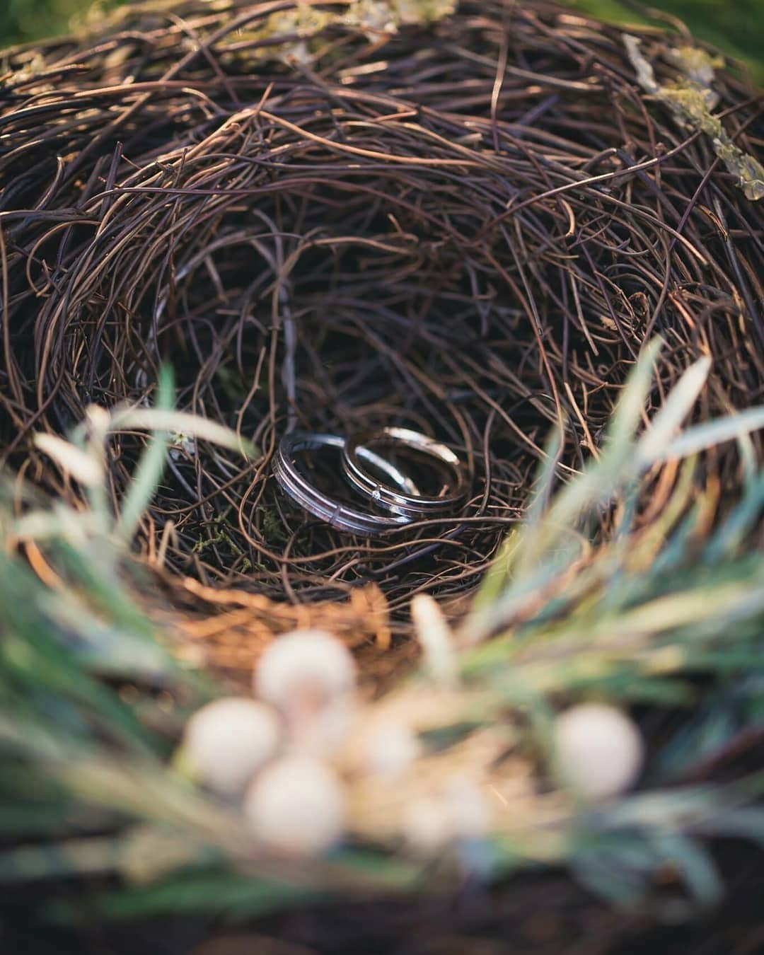 BARN&FOREST148のグルメインスタ