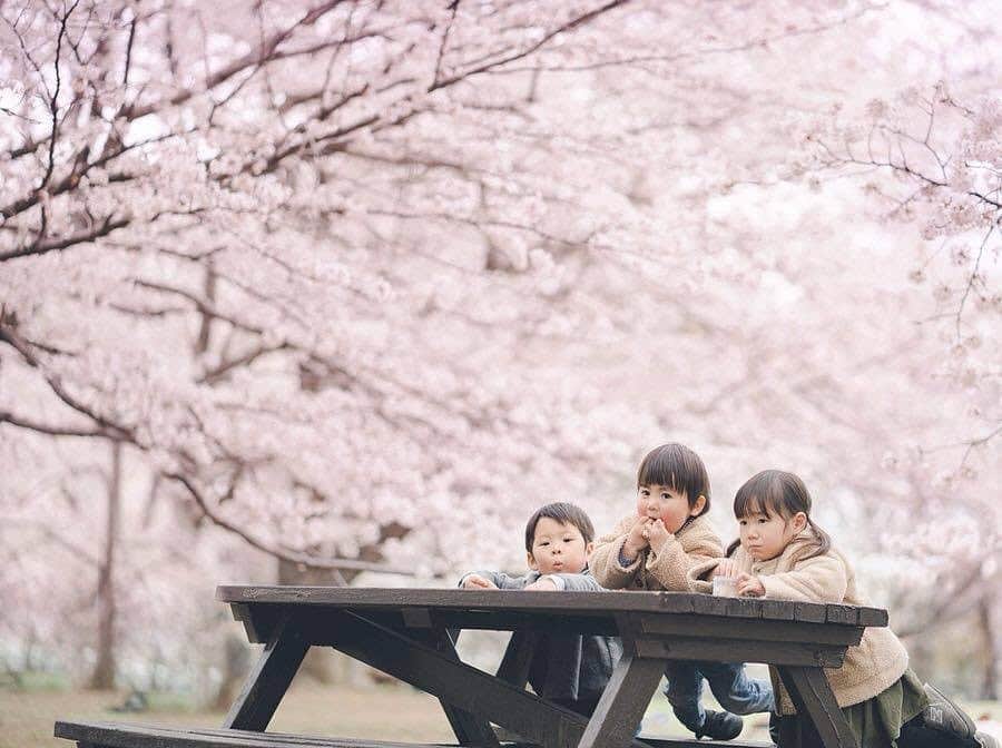 のインスタグラム：「こんにちは😊 現在、「春」をテーマにお写真・動画を募集中です✨ 本日の #タビスルキッズ はこちら💕 📷 @mou_ma_kaさん 🚩 千葉県・「柏の葉公園」 🎙ご本人コメント 3人の動きを止めるために お菓子やらシャボン玉を投入するも なかなか思うように撮れず… . 帰り際 カメラを片付けた後になって やっと訪れるシャッターチャンス！ . 私はこの日も そのシャッターチャンスを逃しました( ´ᐞ` ) . それも良き思い出かな♡ ＊＊＊＊＊＊ 「3人の動きを止めるために」わかります😆 いつも、ステキなお写真ありがとうございます💕」