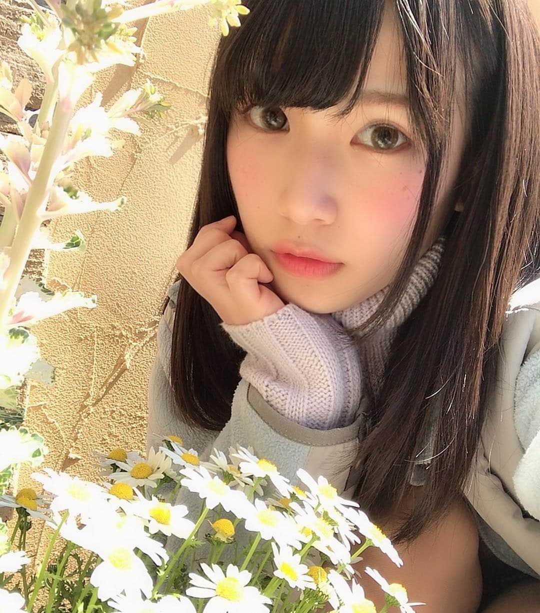 村上りいなさんのインスタグラム写真 - (村上りいなInstagram)「Flower🌷🌼*･゜ﾟ･*:.｡. #spring #instagood #flower #beautiful #photooftheday #花 #春 #followme #good #팔로우 #셀카 #셀피 #셀스타그램 #可愛 #いいね」4月4日 12時33分 - riina_murakami