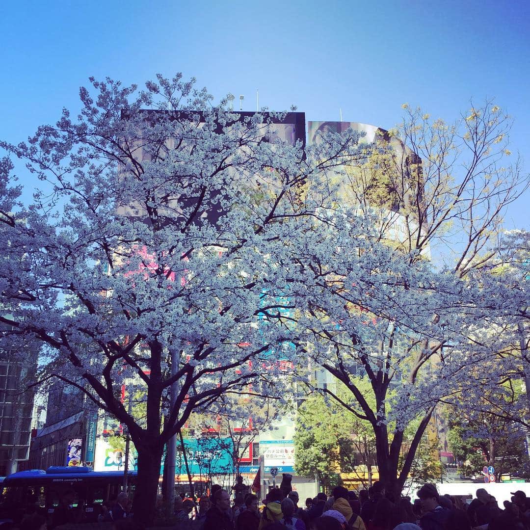 奥田恵梨華さんのインスタグラム写真 - (奥田恵梨華Instagram)「ハチを探せ #渋谷 #shibuya #ハチ公 #hachiko  #桜」4月4日 12時55分 - erikaokuda_official
