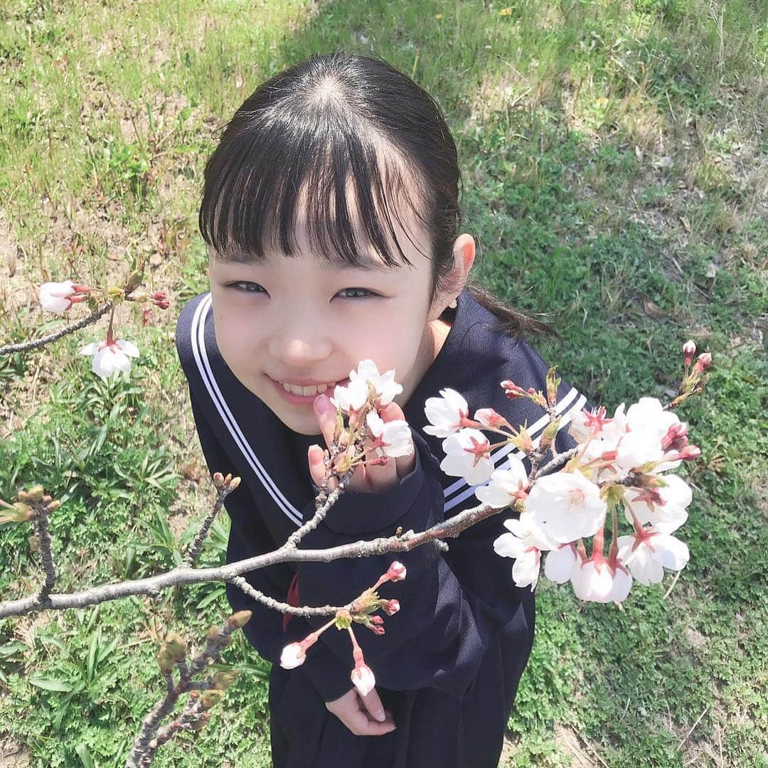 Hinataさんのインスタグラム写真 - (HinataInstagram)「. . 入学式〜🌸 桜も綺麗に咲いててお天気も最高☀️ いよいよひなたも中学生になったよ✨✨ . 初めての制服💓 まだ着慣れてないけど似合ってる😆❓ . 勉強も頑張って友達をたくさん作って 楽しい中学生活にしたいなぁ🥳 もちろんお仕事も頑張るよ💪 . みんなも毎日楽しい新学期を過ごしてね〜🌻 . . #クラージュキッズ  #野々山ひなた #Hinata #Hinataぼっこ #Twitter #入学式 #桜 #まだ満開じゃない #中学生 #新学期 #毎日を楽しく #中学生になったひなたも応援してね」4月4日 12時58分 - hinachosugram