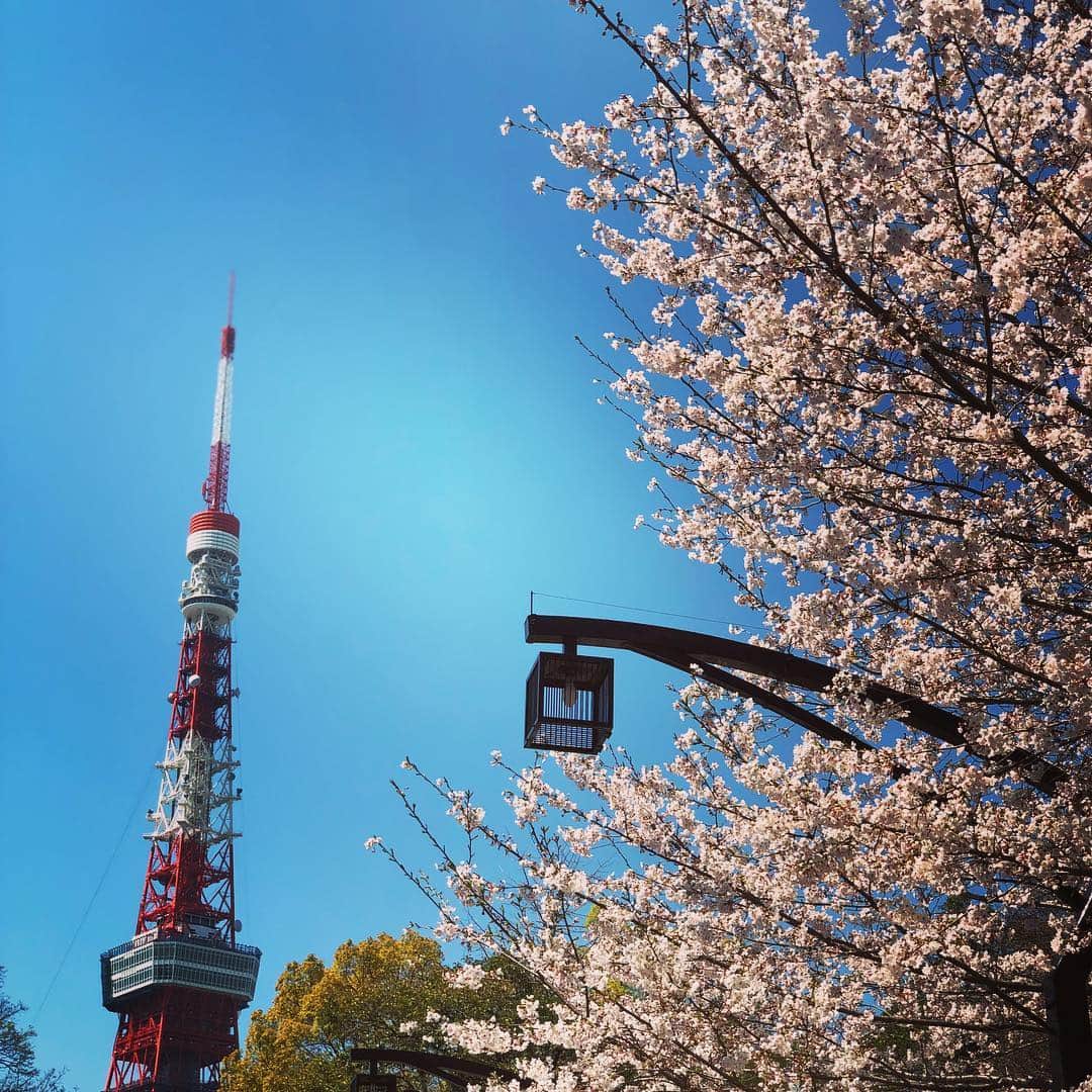 小野賢章さんのインスタグラム写真 - (小野賢章Instagram)「春ですね🌸 やっぱり東京タワー好きだな🗼🙆‍♂️」4月4日 12時58分 - kenshoono1005