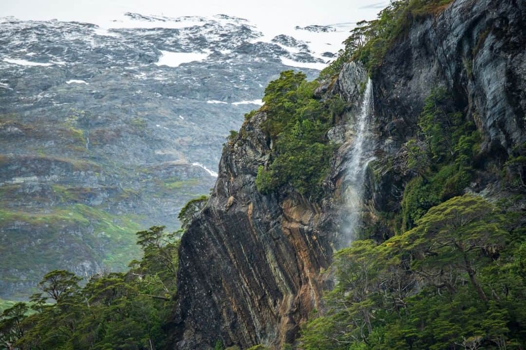 National Geographic Travelさんのインスタグラム写真 - (National Geographic TravelInstagram)「Photo by @KristaRossow | In Alberto de Agostini National Park, snow covers the tops of giant mountains and waterfalls cascade over granite outcrops into forests of Southern beech trees. The landscape in Chilean Patagonia is a beautiful mix of greens, blues, and white. Follow me @KristaRossow for more images from Chile and around the world. #Chile #Patagonia #landscape」4月4日 13時03分 - natgeotravel