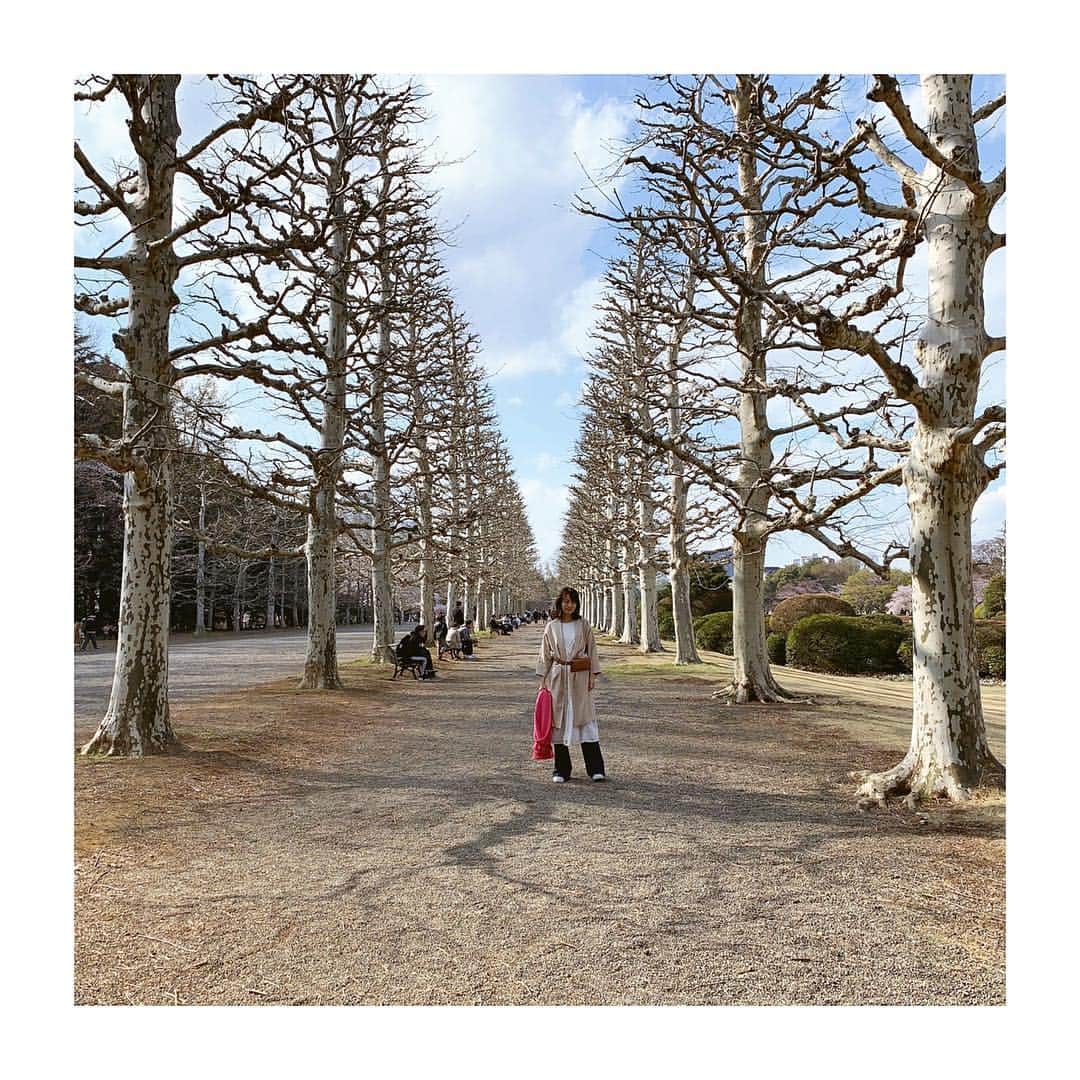 古川美有さんのインスタグラム写真 - (古川美有Instagram)「みんな🌸postばっかりなので 木ばっかりの写真。 ここの空間好き。  #新宿御苑 #プラタナス並木 #カメラから遠すぎ #よく見たら #目つぶってるし #park #shinjuku #trees」4月4日 13時31分 - miyukogawa