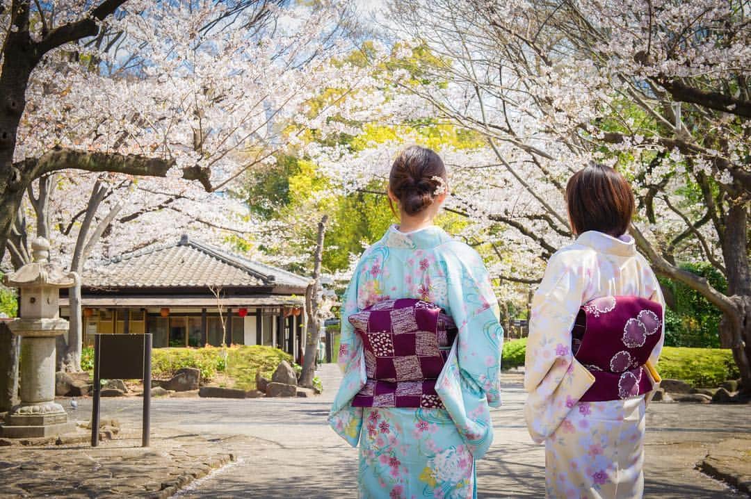 東京プリンスホテルさんのインスタグラム写真 - (東京プリンスホテルInstagram)「着物で桜を愛でる。日本ならではの春の楽しみ方です。⁣ Let's not forget the Japanese way to enjoy springtime, by wearing kimono as a homage to the cherry blossoms.⁣ ⁣ Share your own images with us by tagging @tokyoprincehotel⁣ —————————————————————⁣ #tokyotower #tokyoprincehotel #princehotels #tokyo #japan #beautifulhotels #tokyohotel #東京 #东京 #도쿄 #tokio #kimono #着物」4月4日 13時24分 - tokyoprincehotel