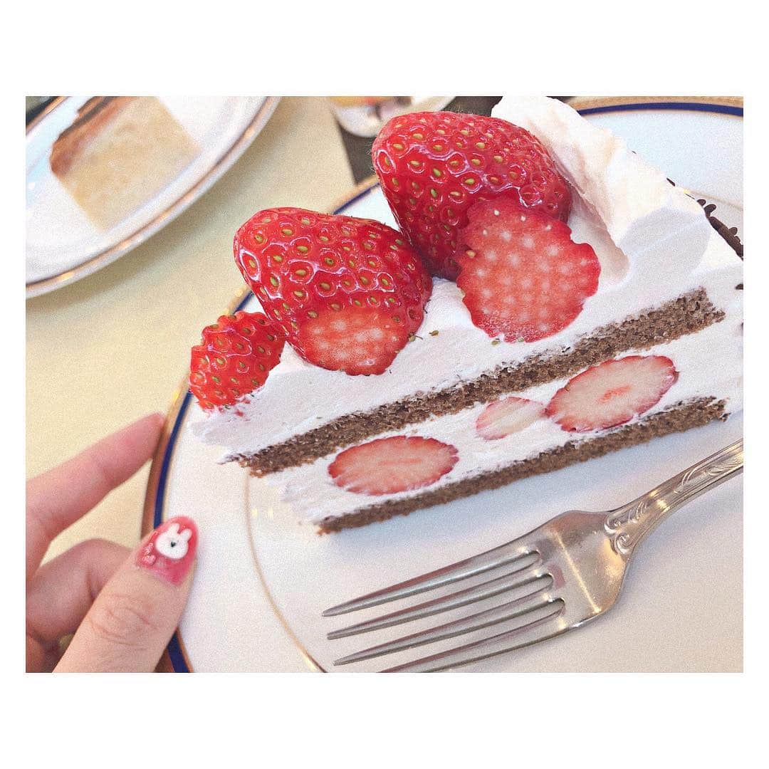 松崎博香さんのインスタグラム写真 - (松崎博香Instagram)「みんなはお昼ご飯食べた？？😋 私はママと妹と宇都宮駅近くにあるSELECTさんでランチしてきたよー🍓 ケーキもすごく美味しかった💓 生クリームが甘すぎずチョコのスポンジとイチゴの組み合わせが最高に幸せの味でした🤤❣️ ランチタイムはパスタかオムライス選べてサラダにドリンク…そしてケーキまで付いてくるのでめちゃくちゃお得です！ みんなも宇都宮に来る際は行ってみてね🙆🏻‍♀️ 残りの写真はTwitterにアップするね！！ 午後もfighting~~~🎵 #イチゴ #イチゴチョコショートケーキ #宇都宮カフェ #우츠노미야  #케이크」4月4日 13時43分 - hiichan_starmarie