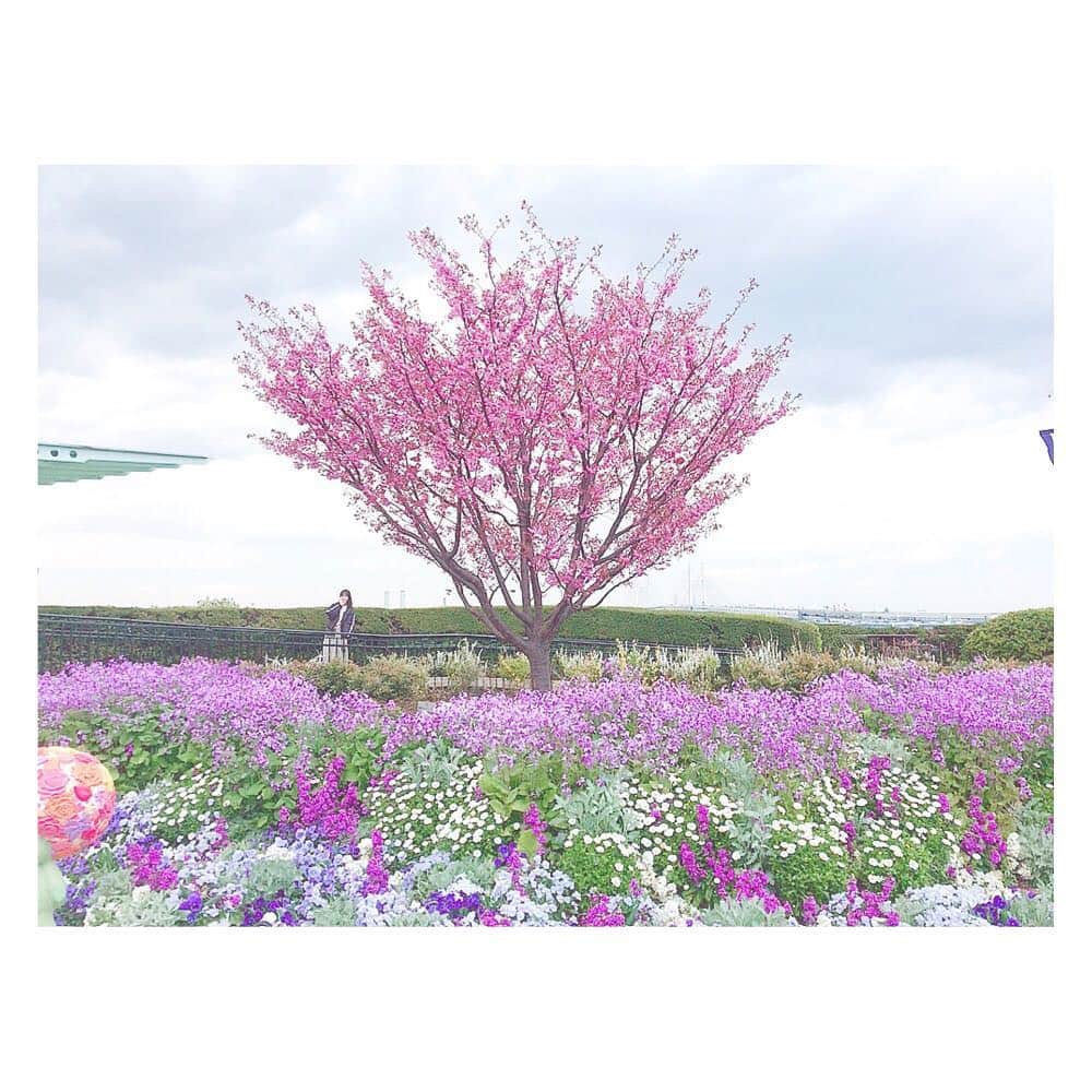 千葉恵里さんのインスタグラム写真 - (千葉恵里Instagram)「えりいがちっちゃいよ😙 ・ ・ ・ #お花畑 #ピンク #紫 #きれい #かわいい #癒し #噴水  #千葉恵里 #ちっちゃいえりい」4月4日 13時59分 - eriierii_1027