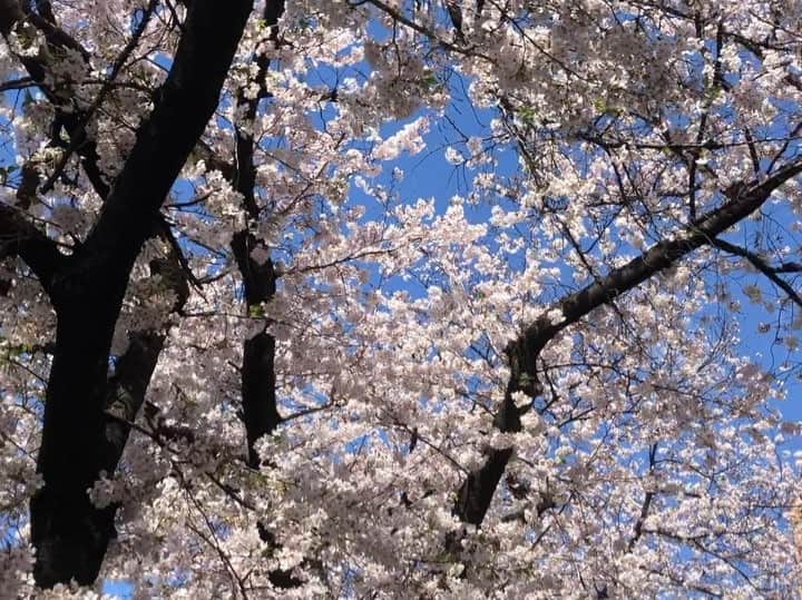 green bean to bar CHOCOLATEのグルメインスタ