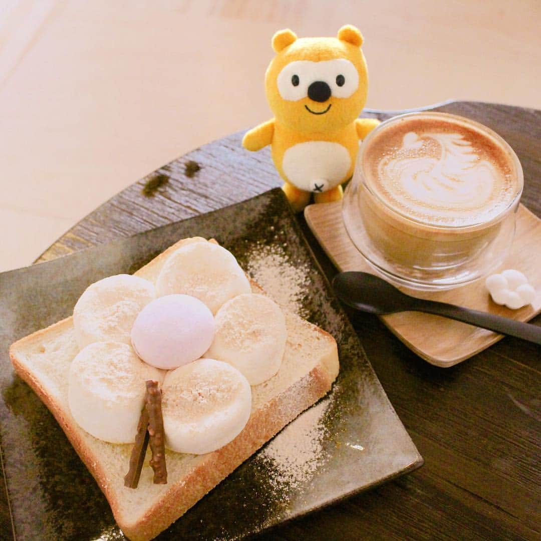 ポンタのインスタグラム：「. . マシュマロトースト🍞をたべたよ！ . . マシュマロの上に乗った最中をあけたら、 黒蜜が出てきてとっても美味しかった😋💕 . . ぼくもマシュマロみたいに 人を幸せな気持ちにできたらいいな✨ . . お出かけ日和が続いているね☀  みんなはどこか遊びにいった？ . . 今日も素敵な１日を過ごしてね🎶 . . . . #ponta #ポンタ #ポンスタグラマー #ポンタのポンスタグラマーへの道 #ポンスタグラム #撮りポン #マシュマロ #マシュマロトースト #きな粉マシュマロトースト #黒蜜 #壱參伍 #イチサンゴ #ラテアート #高円寺 #高円寺カフェ #カフェ巡り #カフェ部 #スイーツ男子 #ぬい撮り #ちょっこりさん #フォトジェニック #インスタ映え #写真好きな人と繋がりたい #coffee #kawaii #instafood #foodstagram #tokyocafe #koenji」