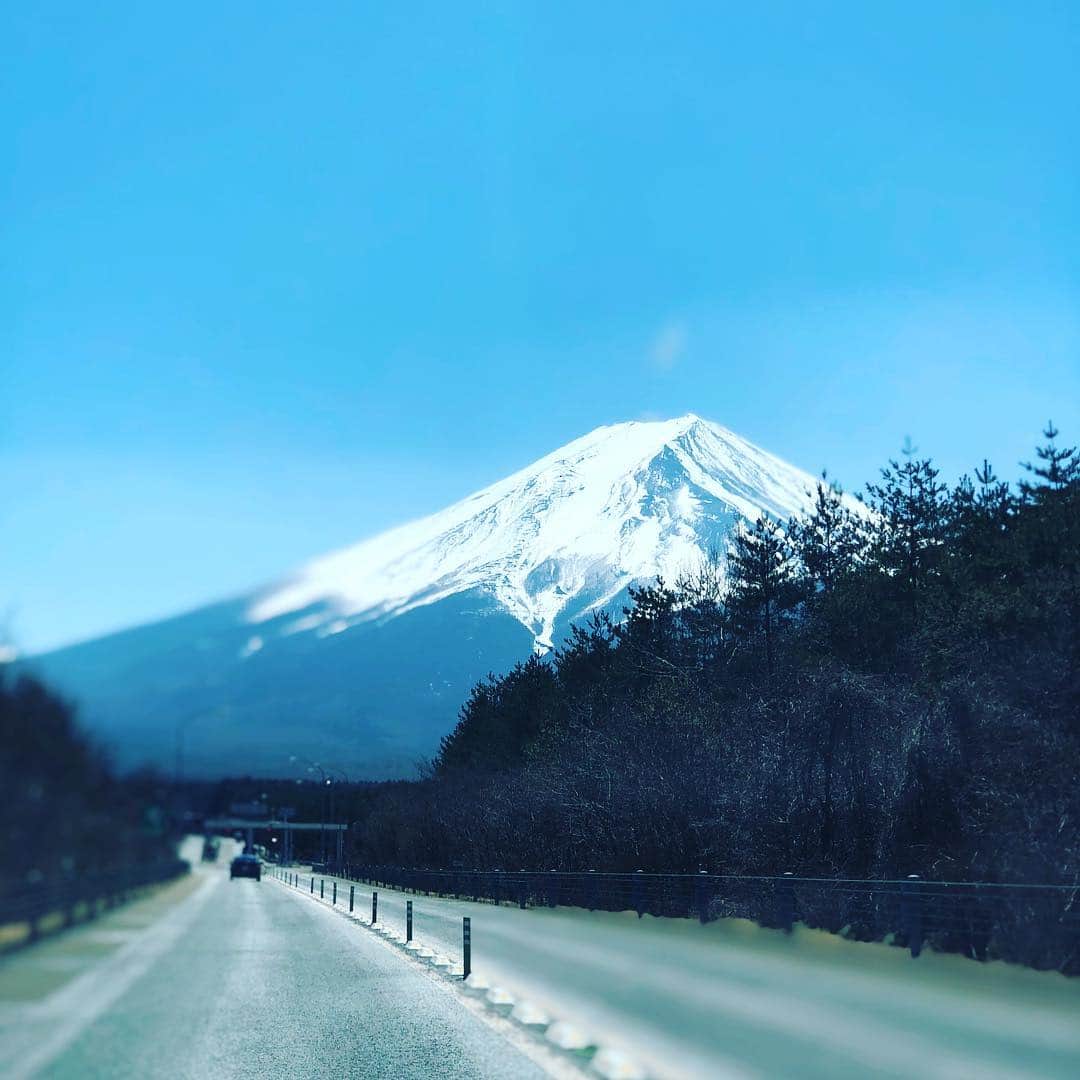 金村義明さんのインスタグラム写真 - (金村義明Instagram)4月4日 14時41分 - yoshiaki_kanemura