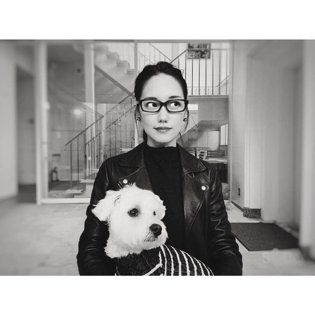 田中こなつさんのインスタグラム写真 - (田中こなつInstagram)「🐩🕶 #dog #terrace #date #mygirl #samui #dogsofinstagram #daughter #娘」4月4日 14時43分 - konatsu_tanaka