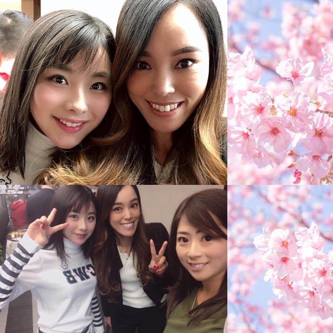 野田すみれのグルメインスタ