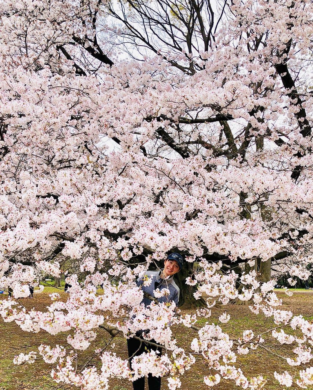 黛英里佳さんのインスタグラム写真 - (黛英里佳Instagram)「東京は桜満開🤗🌸 みなさまお花見はしましたか⁇ 私も公園に行ったりお花見ランしたり楽しんでいます☺️ 寒い日が続くのはちょっとつらかったですが、桜が長く楽しめるのは嬉しい😊 #お花見#お花見ラン#🌸」4月4日 14時52分 - erikamayuzumi_official