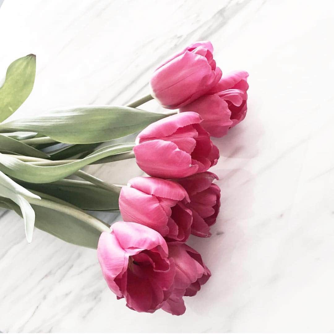 TRILL公式編集部アカウントさんのインスタグラム写真 - (TRILL公式編集部アカウントInstagram)「@hi_i_am_ssol さんのチューリップ🌷💐✨ ㅤㅤㅤㅤㅤㅤㅤㅤㅤㅤㅤㅤㅤㅤㅤㅤㅤㅤㅤㅤ ピンク色のチューリップの花言葉は「誠実な愛」 今がちょうど開花の時期だそうです💓 ㅤㅤㅤㅤㅤㅤㅤㅤㅤㅤㅤㅤㅤㅤㅤㅤㅤㅤㅤㅤ ———————————————————————— 「#私のTRILLpic」をつけて、素敵な写真を投稿しよう✨ 上記# がついていると、TRILLサービスへの掲載や、TRILLのInstagramへの投稿で使用させていただく可能性がございます。 ———————————————————————— ㅤㅤㅤㅤㅤㅤㅤㅤㅤㅤㅤㅤㅤㅤㅤㅤㅤㅤㅤㅤ #私のTRILLpic #TRILL #トリル #flower #bouquet #instaflower #flowers #flowerstagram #flowerstyling #花 #花束 #ブーケ #💐 #bloomingswan #flower #tulips #flowerlesson #flowerstagram #dailyphoto#チューリップ」4月4日 14時53分 - trill
