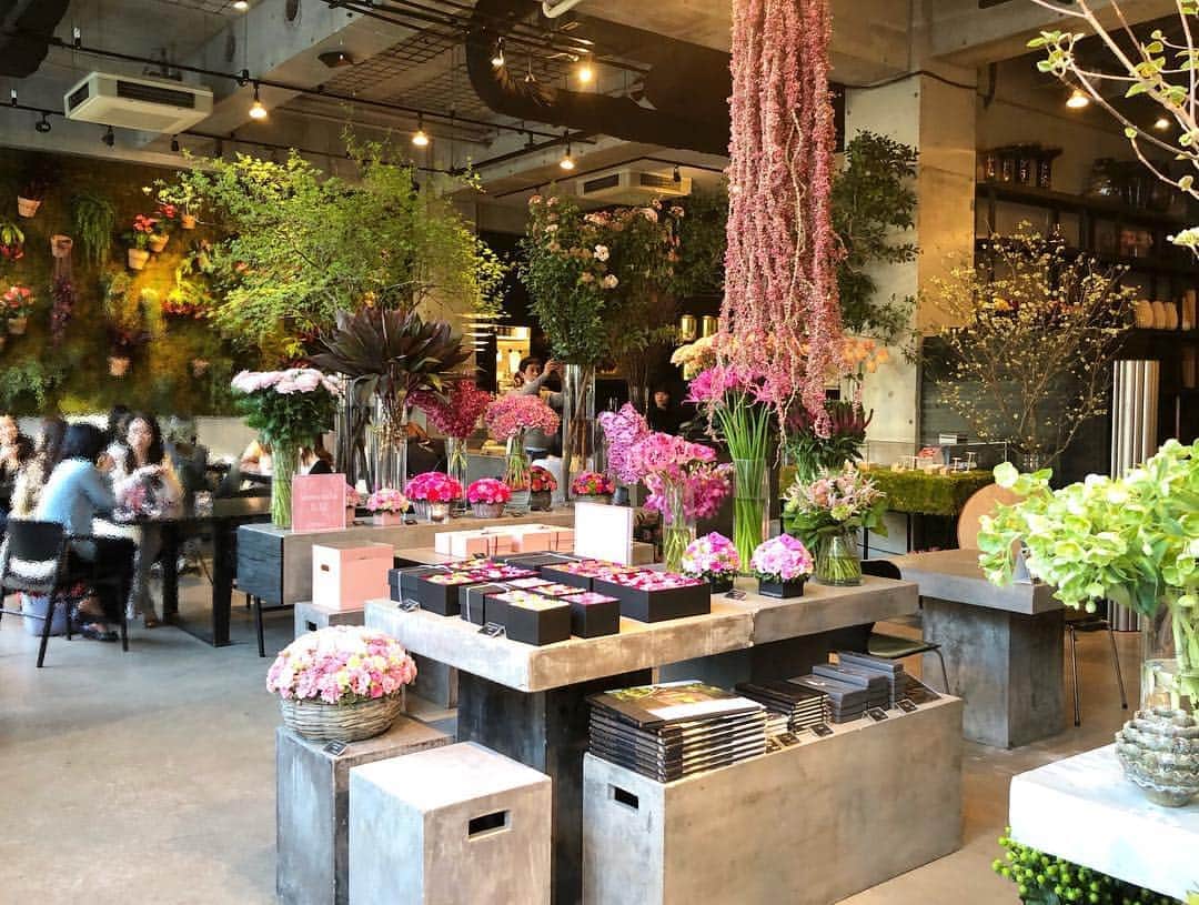 和泉佑三子さんのインスタグラム写真 和泉佑三子instagram ニコライバーグマンのカフェが オシャレ 過ぎた お花屋さんと カフェのコラボレーション 最高にリフレッシュできる場所 Nicolai Bergmann Nomu ニコライバーグマンカフェ カフェ 表参道 4月4