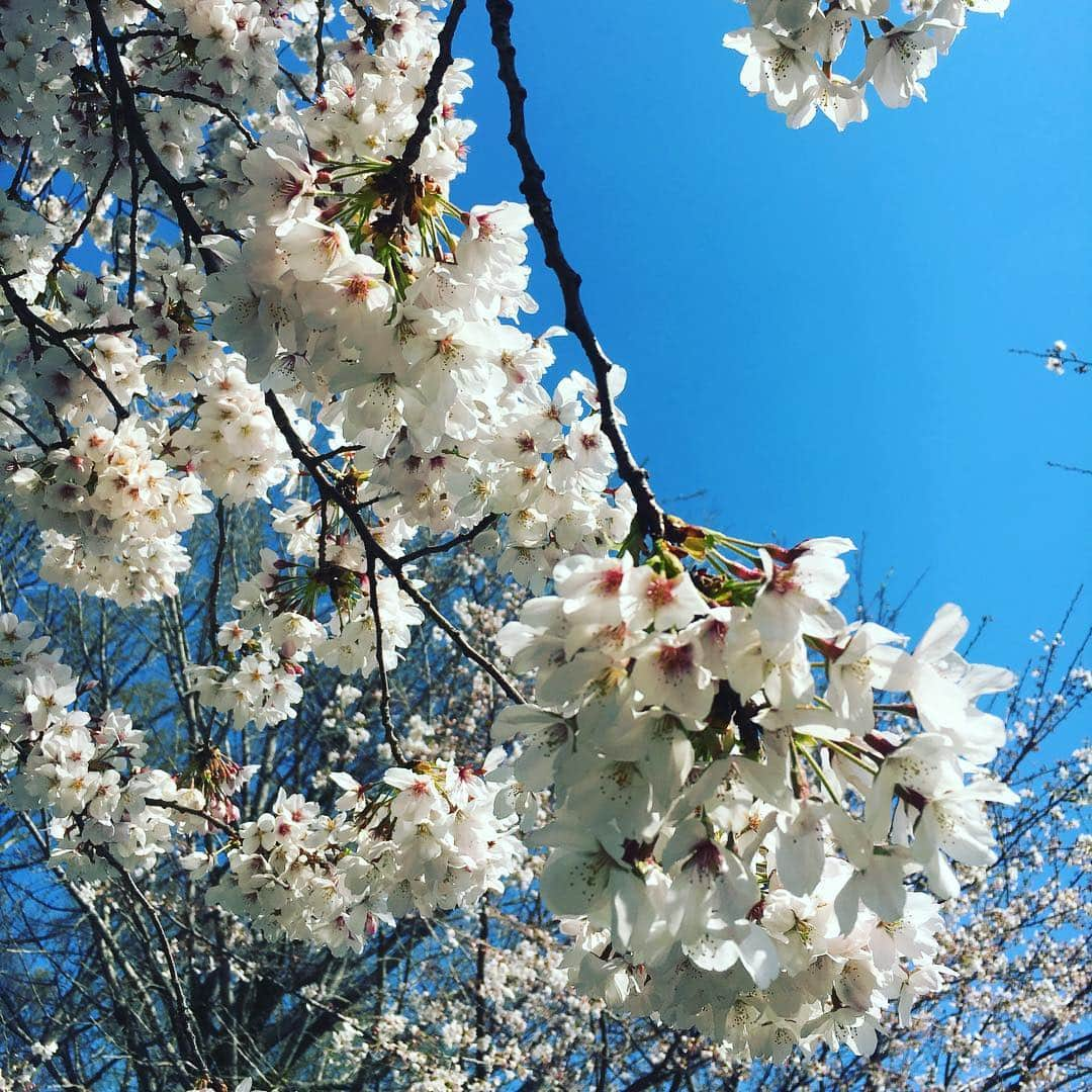 野村佑香のインスタグラム