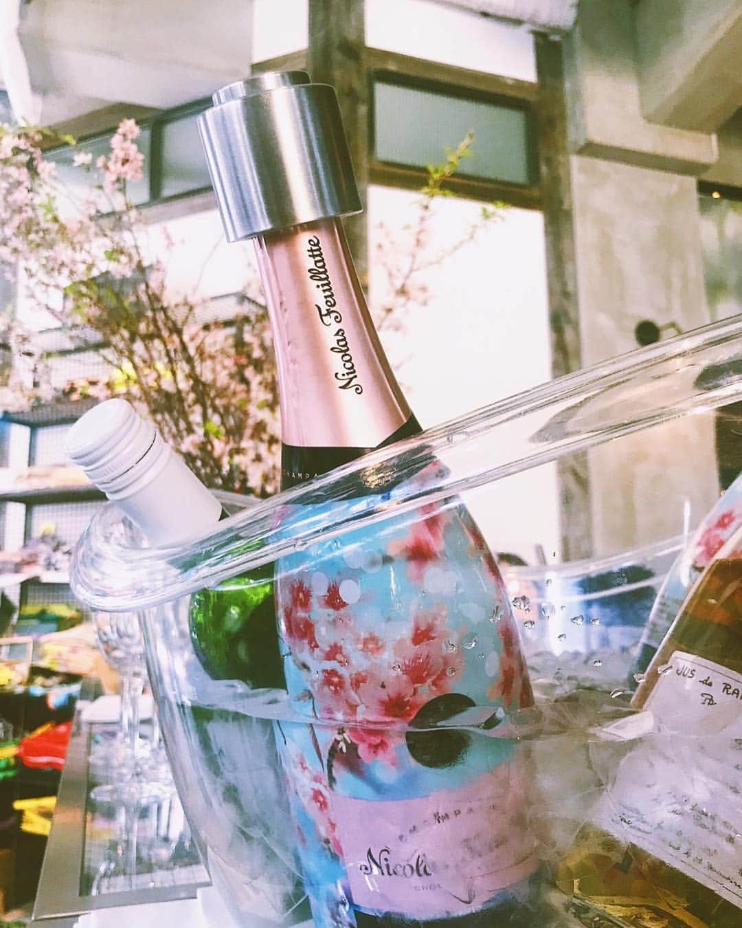 上原歩さんのインスタグラム写真 - (上原歩Instagram)「フランス国内No.1のシャンパーニュ・メーカーであるニコラ・フィアットから新発売の 日本の桜をデザインモチーフにした限定ボトルの新作を頂きに行ってきました♫  @nicolasfeuillatte 中目黒の桜を眺めながらフィアットを頂く贅沢な時間✨ お料理にも桜や旬のワラビやふきのとうなどが使われプレートからも春を感じました🌸 4月7日まで開催中です☺︎ ・ #stall_nakameguro #love #happy #life #instagood #ニコラフィアット」4月4日 15時23分 - ayumiuehara