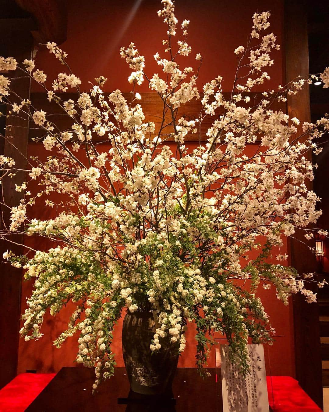 麻亜里さんのインスタグラム写真 - (麻亜里Instagram)「大好きなお店🥺💕 “とうふ屋うかい” 雰囲気もとっても良くて旅行に来ている気分！ でも東京タワーの真下にあります✨ ここのお豆腐はいくらでも食べられちゃう🤭💕💕おばあちゃんお気に入りのお店でもあります👵💋 . #お豆腐 #とうふ屋うかい」4月4日 15時25分 - maari.0108