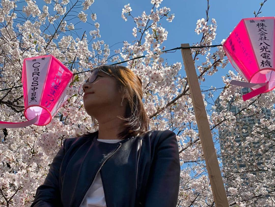 細田阿也さんのインスタグラム写真 - (細田阿也Instagram)「#中目黒 #目黒川  #目黒川の桜  #桜 #🌸」4月4日 15時29分 - hosodaaya