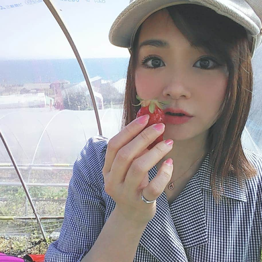 市川みかさんのインスタグラム写真 - (市川みかInstagram)「#strawberrypicking #strawberry #photooftheday #photography #tagsforlikes #tflers #instagood #japanesegirl」4月4日 15時41分 - ichikawa_mika