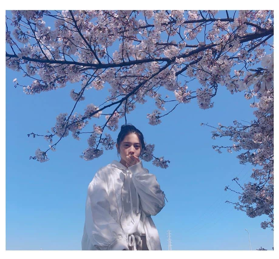 桜田ひよりさんのインスタグラム写真 - (桜田ひよりInstagram)「桜満開ですね🌸  お知らせがあります！  読売テレビ・日本テレビ系 今日の夜11時59分〜 放送スタートの  向かいのバスる家族  菅野朱里役で出演します！！ 是非、ご覧ください！  #向かいのバズる家族 #最後の写真 #桜食べた #らしい #無意識です」4月4日 15時55分 - hiyori_sakurada_official