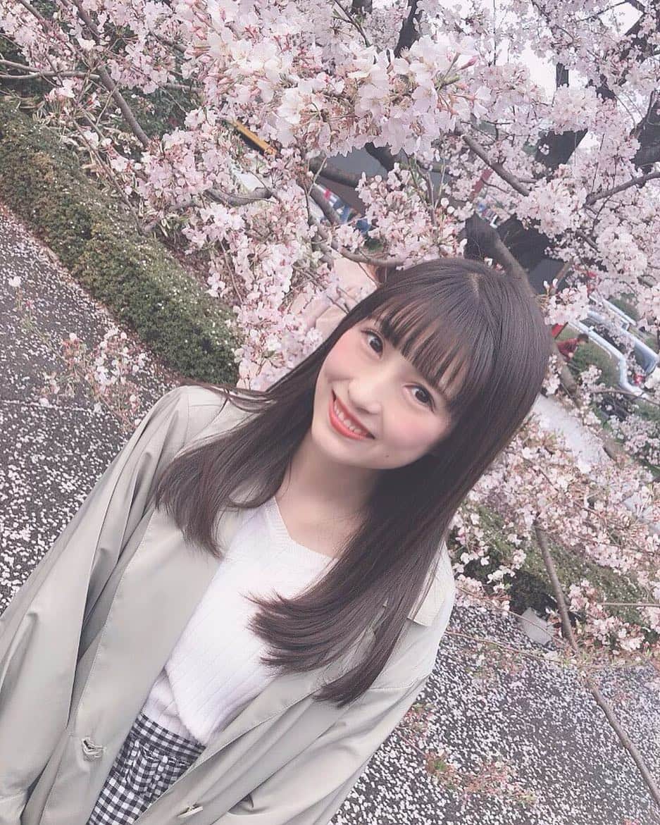 華山志歩さんのインスタグラム写真 - (華山志歩Instagram)「お花見🌸🍡」4月4日 15時56分 - shiho_hanayama_official