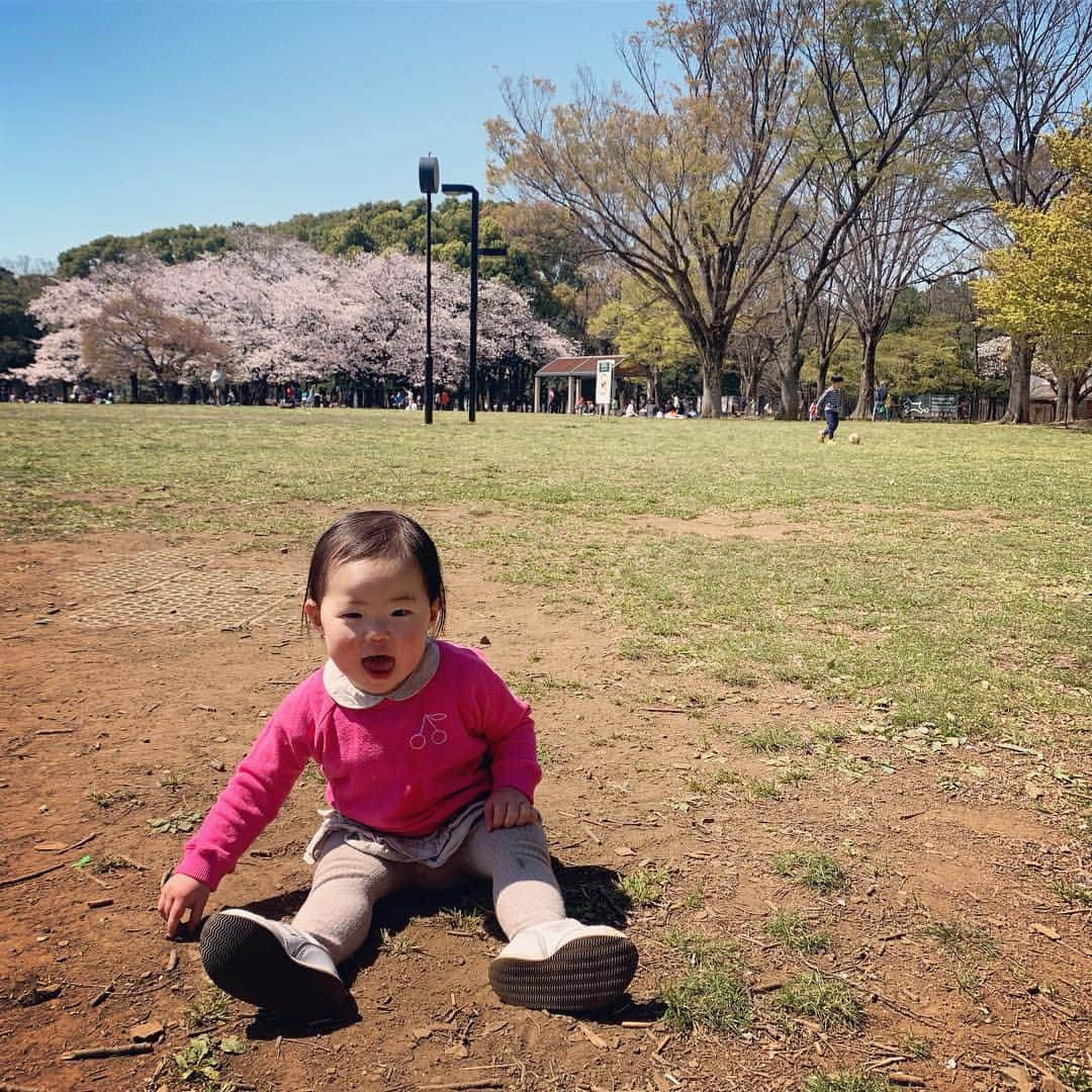 鈴木六夏さんのインスタグラム写真 - (鈴木六夏Instagram)「みんなで桜の公園に行ってきたよ〜🌸 #Qちゃん #母ちゃんヘトヘト」4月4日 16時03分 - rikuka.62