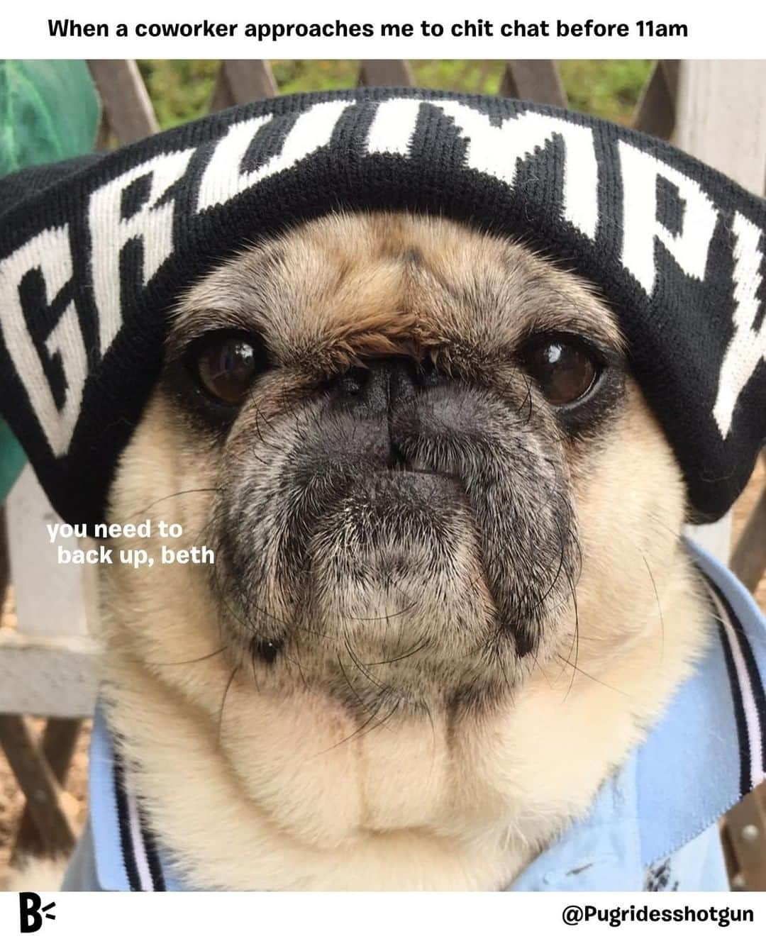 BarkBoxさんのインスタグラム写真 - (BarkBoxInstagram)「My brain is offline until after lunch, you should circle back then. @pugridesshotgun」4月5日 2時01分 - barkbox