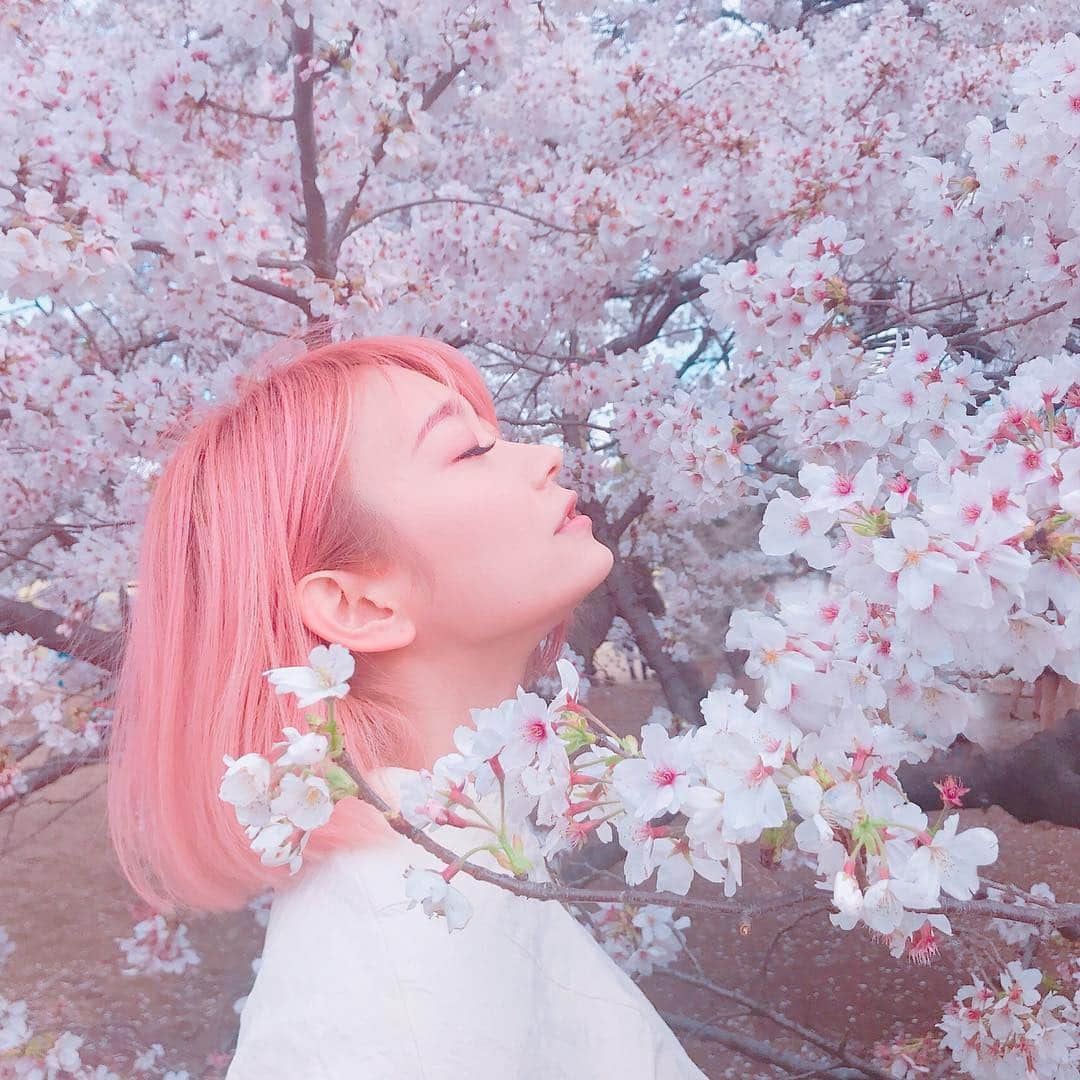 西野翔のグルメインスタ