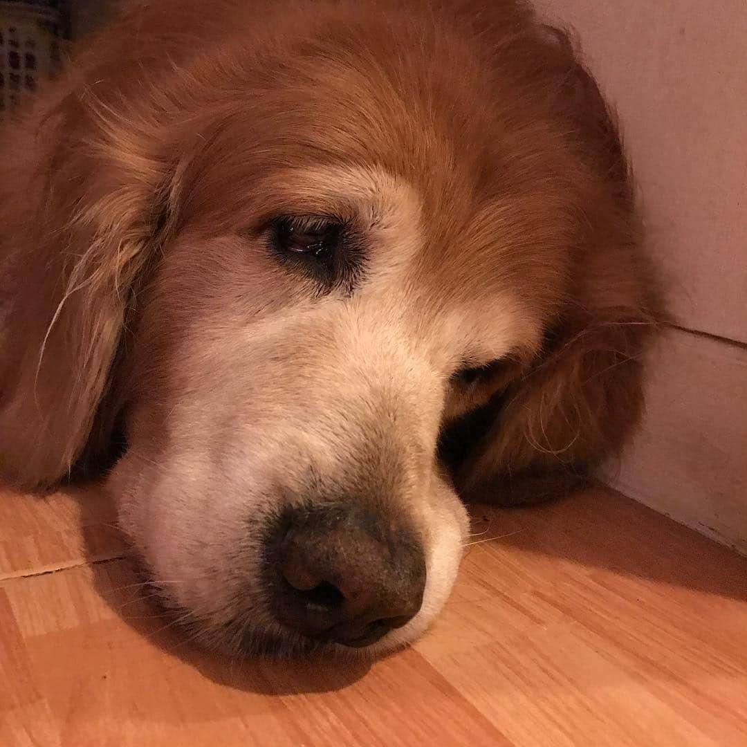 Hoykong&Plamuekのインスタグラム：「Bye Bye Thursday #hoykong」