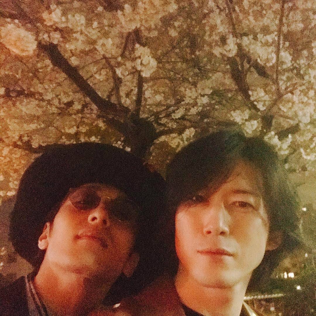 宮尾俊太郎さんのインスタグラム写真 - (宮尾俊太郎Instagram)「今年は東京の桜は見れなさそうですが、大阪で大貫君と見れました。  #kバレエ #kballet #バレエ #ballet #dancer #miyao #shuntaro #宮尾俊太郎 #japan #tokyo#ロミジュリ #桜」4月4日 18時18分 - shuntaro_miyao