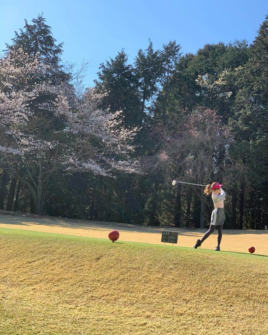 水野佐彩さんのインスタグラム写真 - (水野佐彩Instagram)「・ またまたさくら餅ゴルフ🏌🏽‍♀️🌸 今出ているandGIRL📚のゴルフページでも着ている お気に入りゴルフコーデです⛳️💕 桜咲いてるかなって思って ピンク着たかったの〜☺️🌸🌸🌸 肌寒かったけど 太陽も出ていて とってもゴルフ日和でした⛳️ スコアは99🔴 ギリギリすぎだけど、まあ良かろう！← 上手くなりたいな〜🐷🐷🐷 #ゴルフコーデ tops,skirt#junandrope @junandrope  sun visor#eyevol @eyevol_official  #sサイズコーデ #153cmコーデ #おちびコーデ #桜ゴルフ #春爛漫 #太陽最高 #ゴルフ #ゴルフ女子 #ゴルフ男子 #ゴルフ好き #ゴルフ大好き #ゴルフ初心者 #ゴルフ好きな人と繋がりたい #golf #golfwang #golfswing #golfing #golfsaaya2018」4月4日 18時27分 - saaya_mizuno