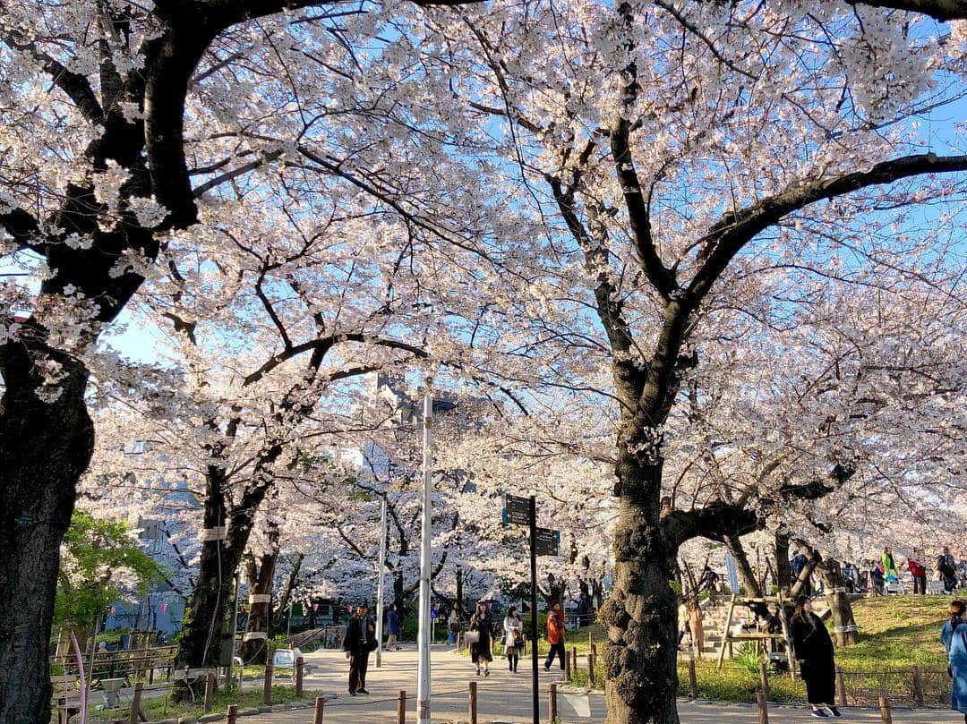 江川清音さんのインスタグラム写真 - (江川清音Instagram)「﻿ 🌸隅田公園🌸﻿﻿ なんと言ってもスカイツリーとのコラボレーションが素晴らしい👏✨✨﻿﻿ ﻿﻿ 約500本の桜が咲き誇ります😊🌸﻿﻿ 都心では桜の見頃もあと僅か。﻿﻿ 今のうちに楽しみたいですね😌💕﻿﻿ ﻿ 明日のコーヒータイムでは、隅田公園の桜のお話をします💡﻿ 何度か訪れていて、気がついた事がありました。﻿ 色々とお話できたらなと思います🤗❤️﻿ ﻿﻿ #桜 #ソメイヨシノ #染井吉野 #隅田公園 #隅田公園の桜 #桜絶景 #勝手にさくプロ大使 #お花見 #sakura #隅田公園桜まつり #隅田公園の桜 #さくら #サクラ #桜満開 #東京スカイツリー #スカイツリー #スカイツリーと桜」4月4日 18時32分 - egawasayane