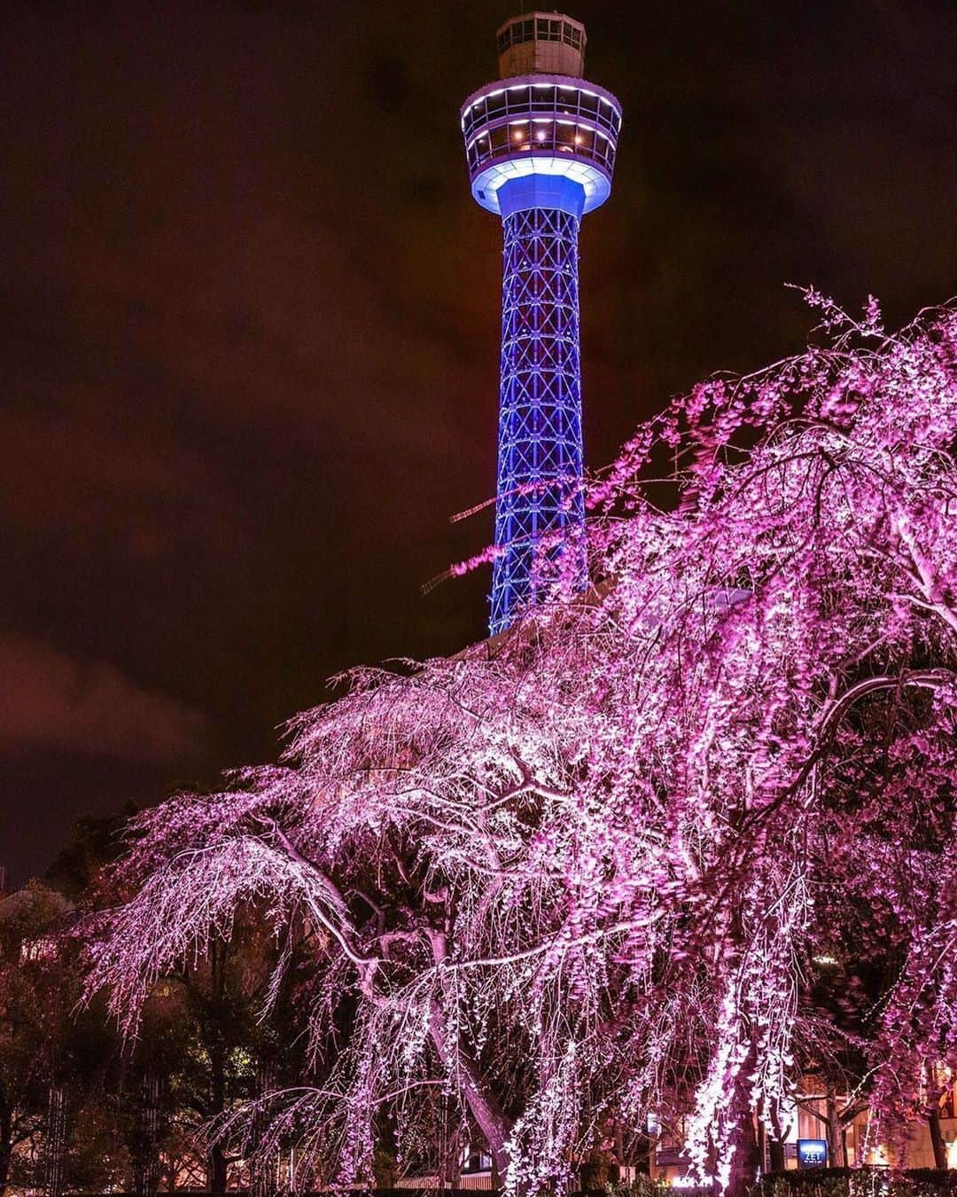 横浜市のグルメインスタ