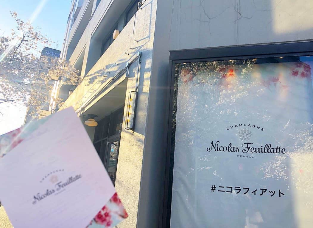 shizuka.watanabeさんのインスタグラム写真 - (shizuka.watanabeInstagram)「♡♡♡ ・ ・ 本日は今週3回目の目黒川のお花見🌸 母と行ってきました🙌 ・ ・ 中目黒川沿いにあるストールレストランへ🍽 ・ お食事とともに @nicolasfeuillatte を飲んだよ！ ・ カシスやブルーベリー、ラズベリーのフレッシュで繊細な香り♬ お料理にも合っていてとても美味しかった〜🌸 ・ ・ 是非シャンパン好きの人に飲んでほしい〜🍾💗 ・ ・ #ニコラフィアット  #stall_nakameguro #中目黒 #桜 #nakameguro #sakura #megurogawa #目黒川 #花見 #お花見 #Cherryblossom #nicolasfeuillatte #シャンパン #champagne #お酒好きな人と繋がりたい #お酒好き女子」4月4日 18時48分 - shizuka.watanabe