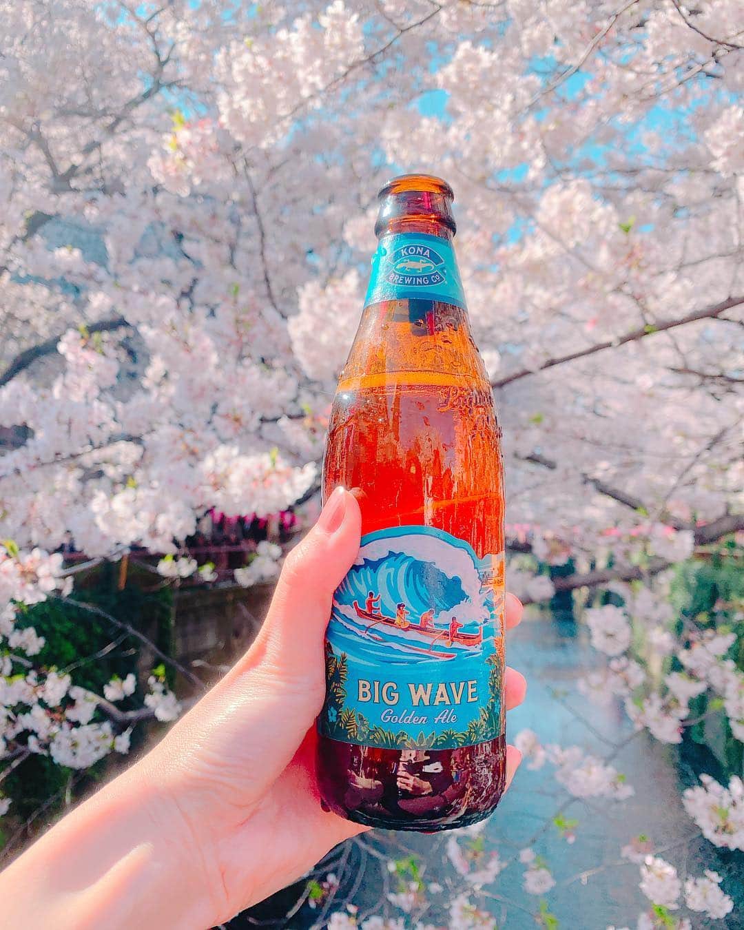 志摩夕里加のインスタグラム：「🌸🌸🌸🌸 ジム終わりにお花見🌸🌸 ・ ・ #お花見 #桜 #中目黒 #bigwave #ビール女子 #中目黒桜まつり #cherryblossom #iphoneで撮影 #親指の関節曲がりすぎ #🌸 #🍺 #春が来た #平成最後の桜」