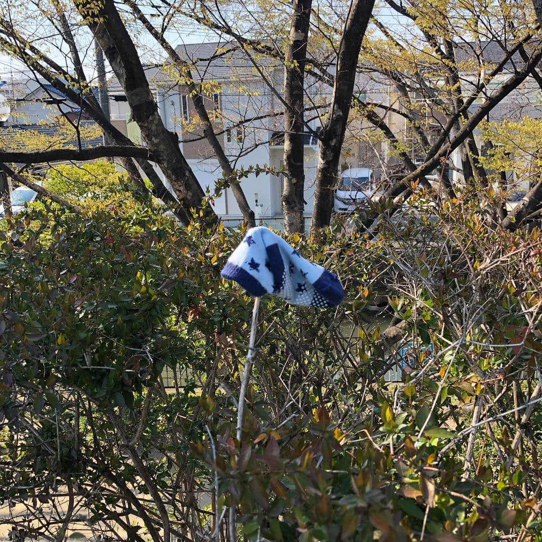 yonigeのインスタグラム：「yonige「これ、落としましたよ」ツアー 広島、新潟、高松、旭川、札幌のチケットまだあります。 #これ落としましたよ」