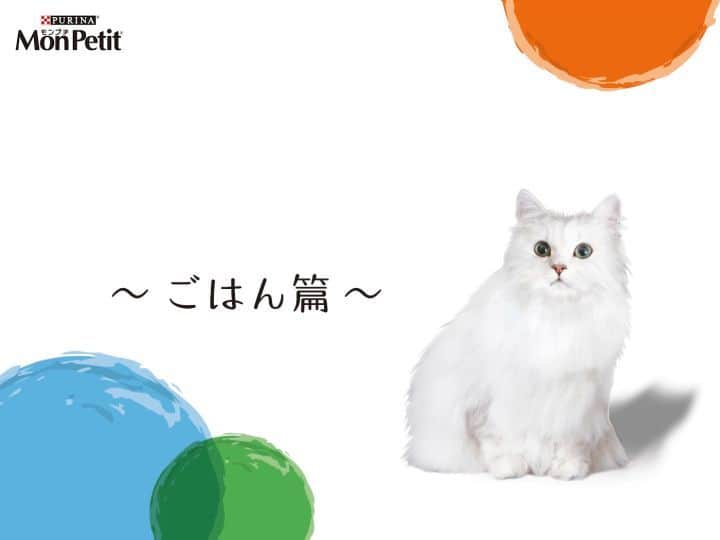 Purina Mon Petit Japanのインスタグラム