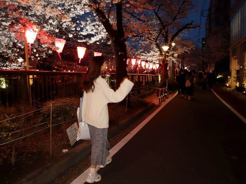 森高愛さんのインスタグラム写真 - (森高愛Instagram)「夜桜🌸 目黒川の桜も見てきたよ🌸 . #桜 #夜桜 #🌸」4月4日 19時17分 - ai_moritaka_official